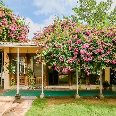 Naila Bagh Palace Heritage Home Hotel-3